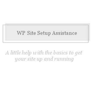 Wordpress Site Setup Assistance-Assistance setting your website with wordpress