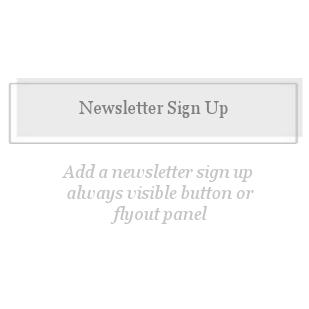 Newsletter Sign Up Button or Flyout-