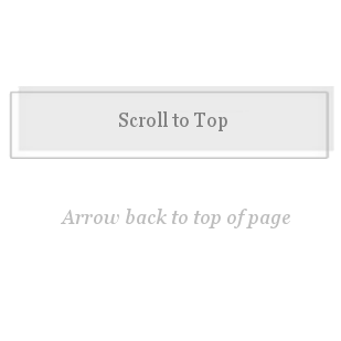 Scroll to Top-