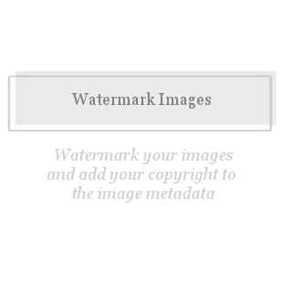 Watermark Images-